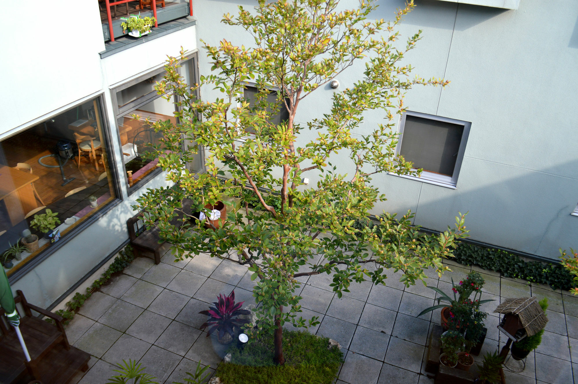 B&B Pension Hakodate-Mura Экстерьер фото